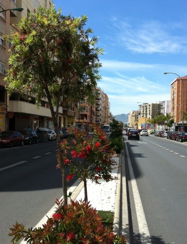 Las labores de plantación en la Carretera de Cádiz han finalizado.
