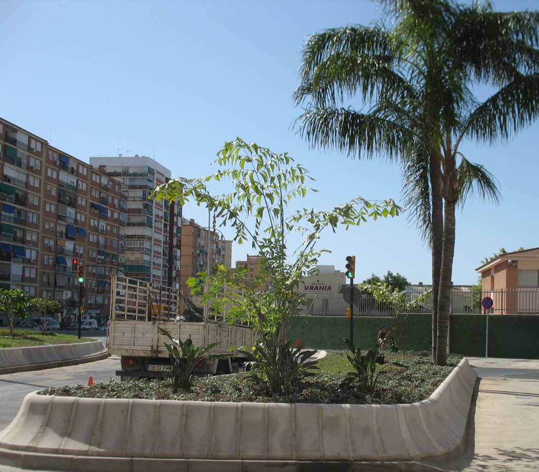 Nuevas plantaciones en la Avenida Juan XXIII de Málaga.